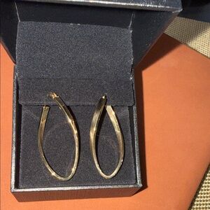 Kay New 10k Gold Elegant Gold Hoop Earrings